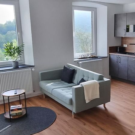 Apartmán Winzerhaus Am Calmont - Terrasse Der Ruhe Bremm Exteriér fotografie