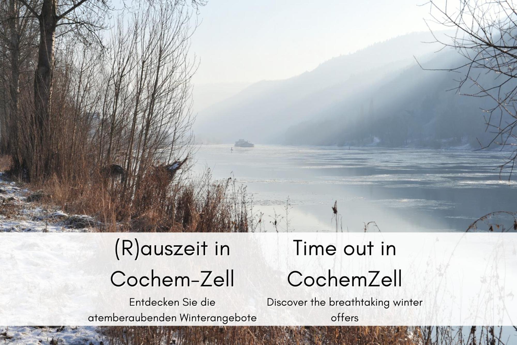Apartmán Winzerhaus Am Calmont - Terrasse Der Ruhe Bremm Exteriér fotografie
