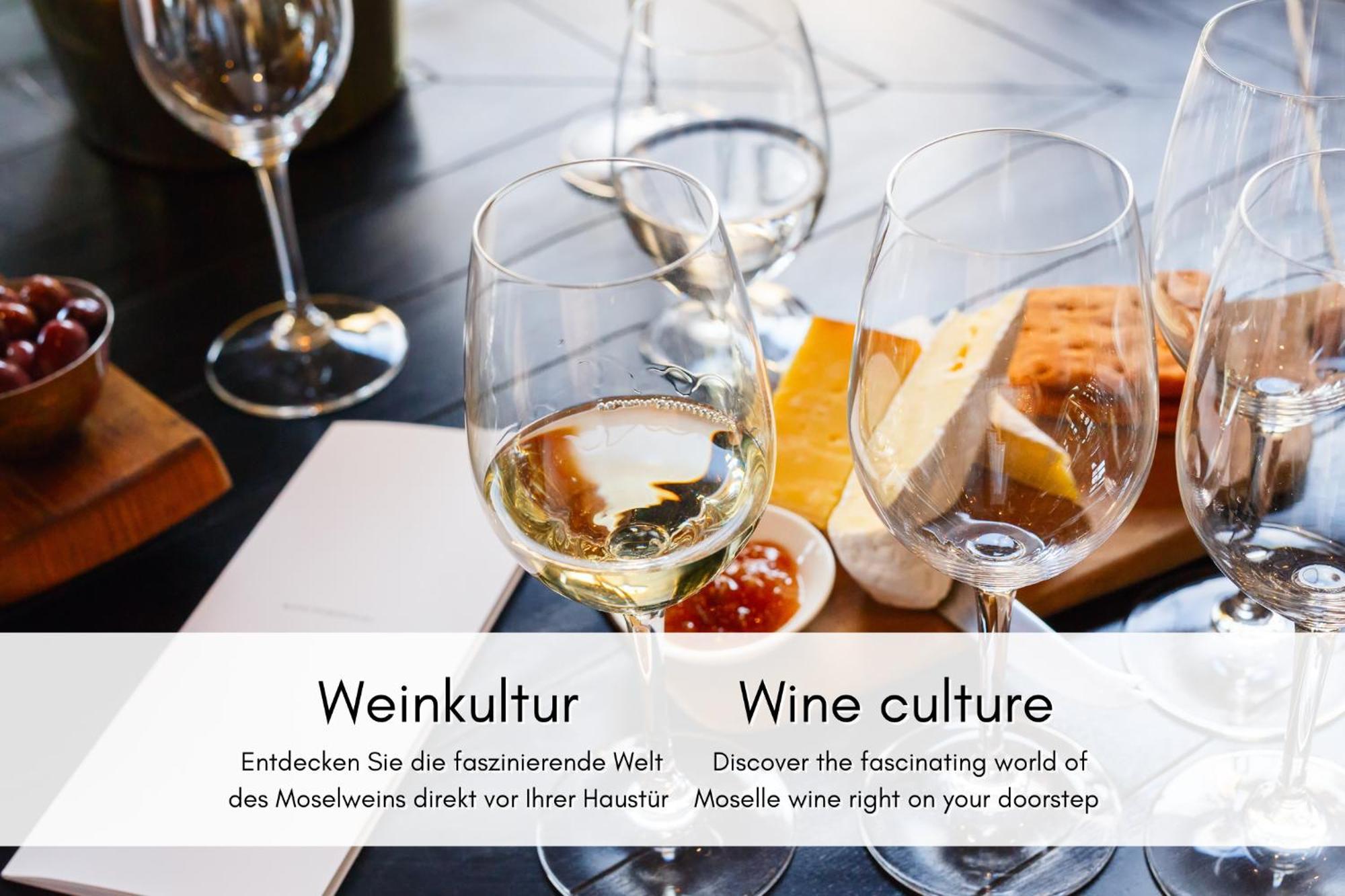 Apartmán Winzerhaus Am Calmont - Terrasse Der Ruhe Bremm Exteriér fotografie