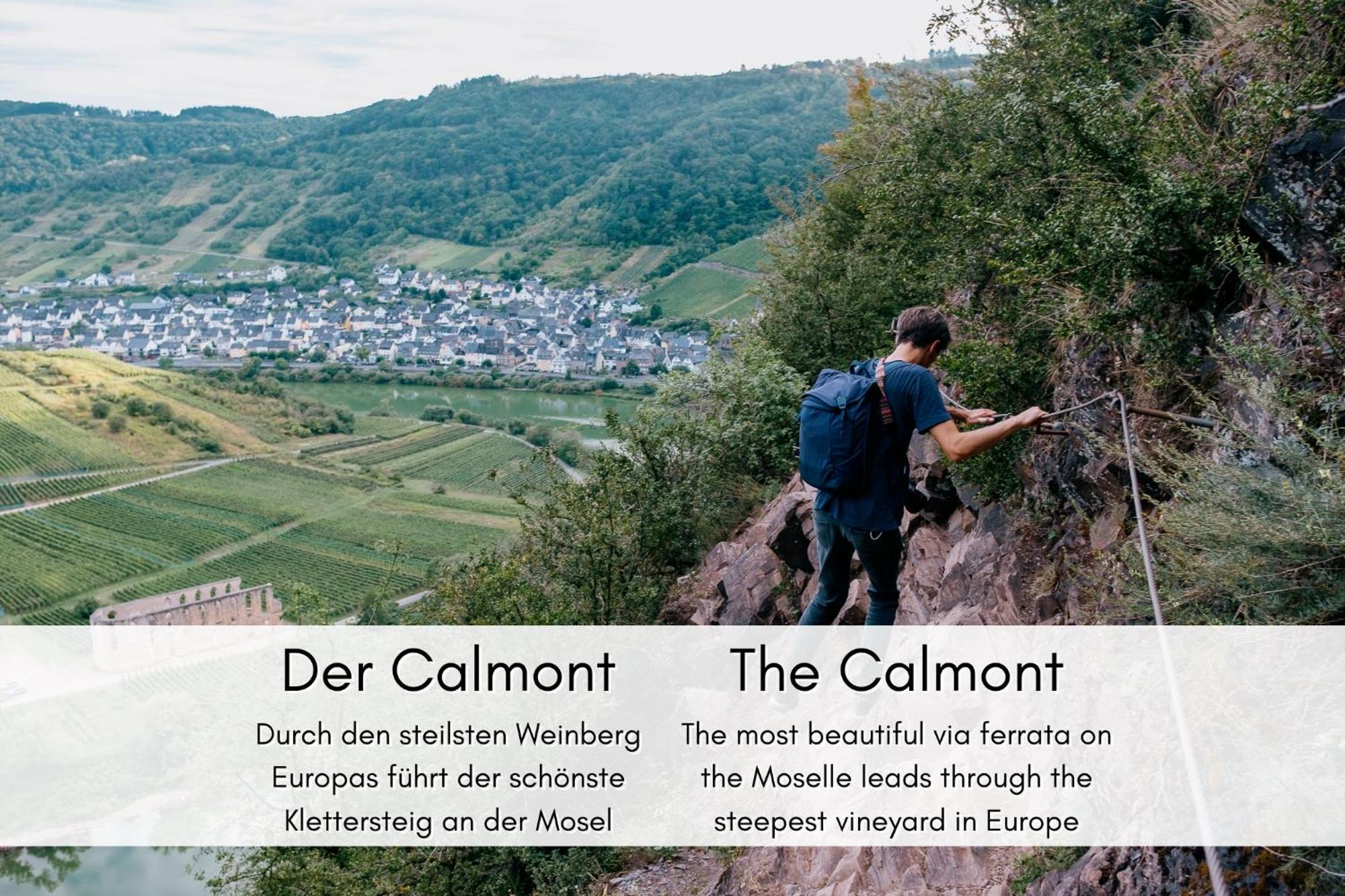 Apartmán Winzerhaus Am Calmont - Terrasse Der Ruhe Bremm Exteriér fotografie